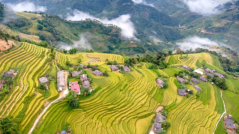 Banaue Rice Terraces